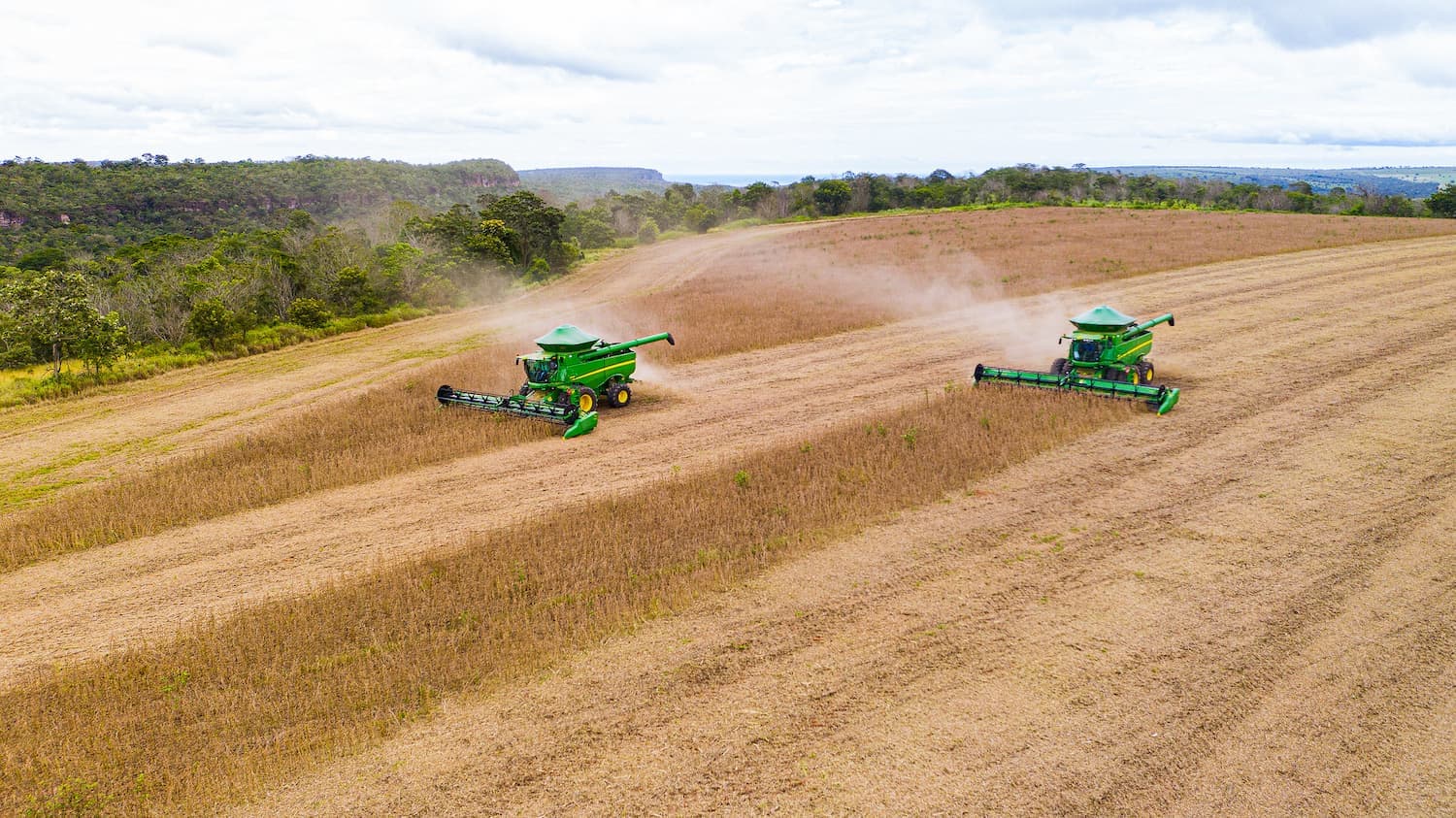 Transplante biológico entre plantas melhora a produtividade de lavouras em até 30%