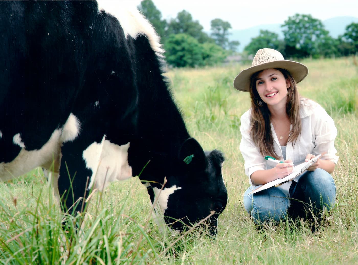 Pecuária leiteira não tem mais espaço para amadores