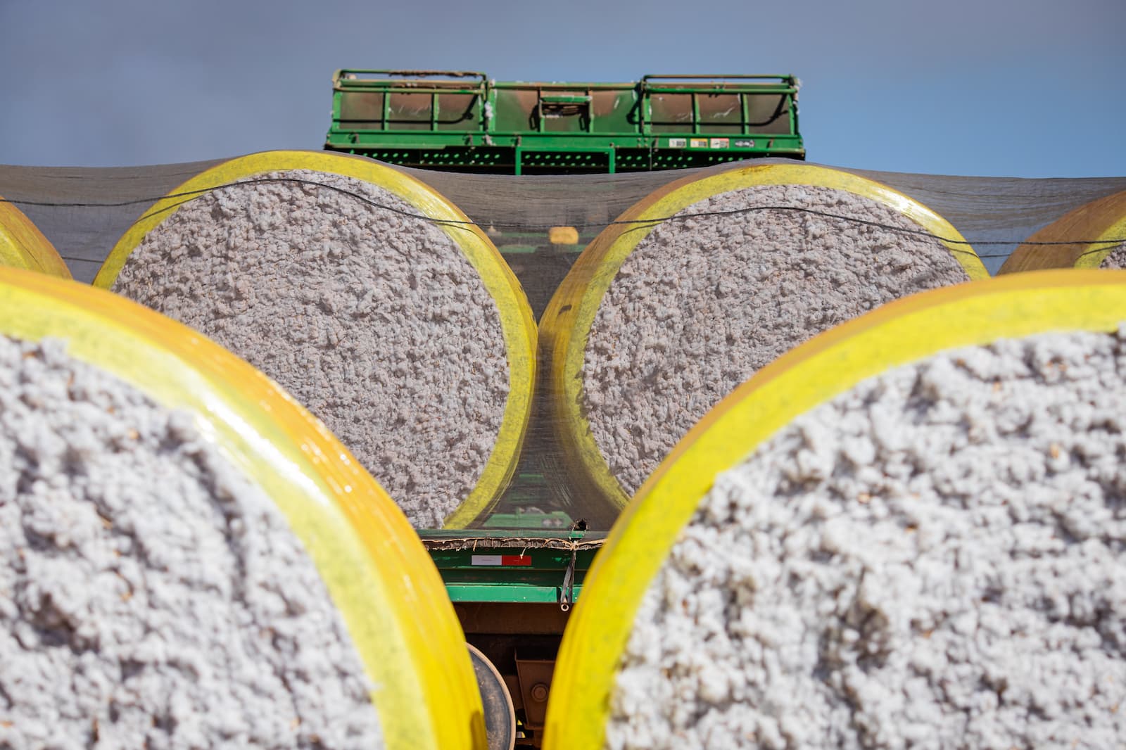 Preços da pluma estão em queda