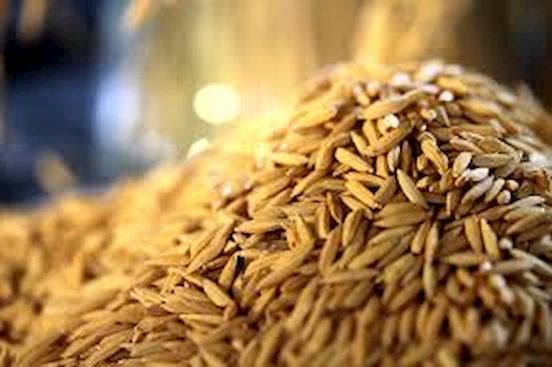 Mercado do arroz 13 de outubro de 2022