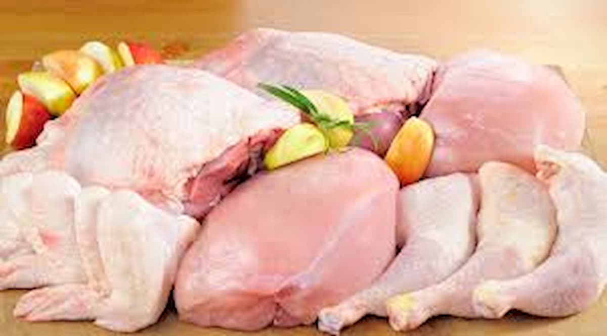 Carne de frango: abates inspecionados do 1º tri sinalizam total de 14,5 milhões/ton em 2021