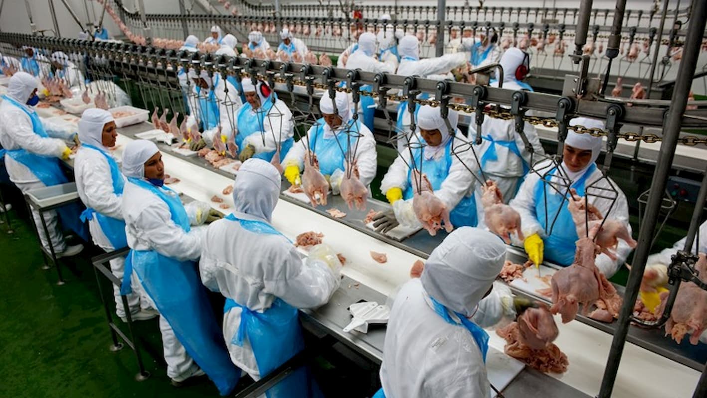 Preço da carne de frango está em alta em 2023