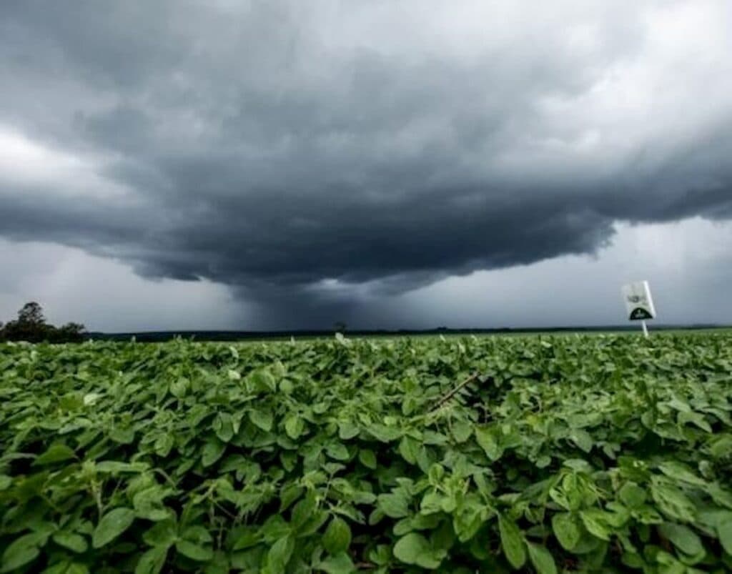 Alerta no campo: Voltam as chuvas em Goiás e Mato Grosso, mas irregularidade ameaça o plantio