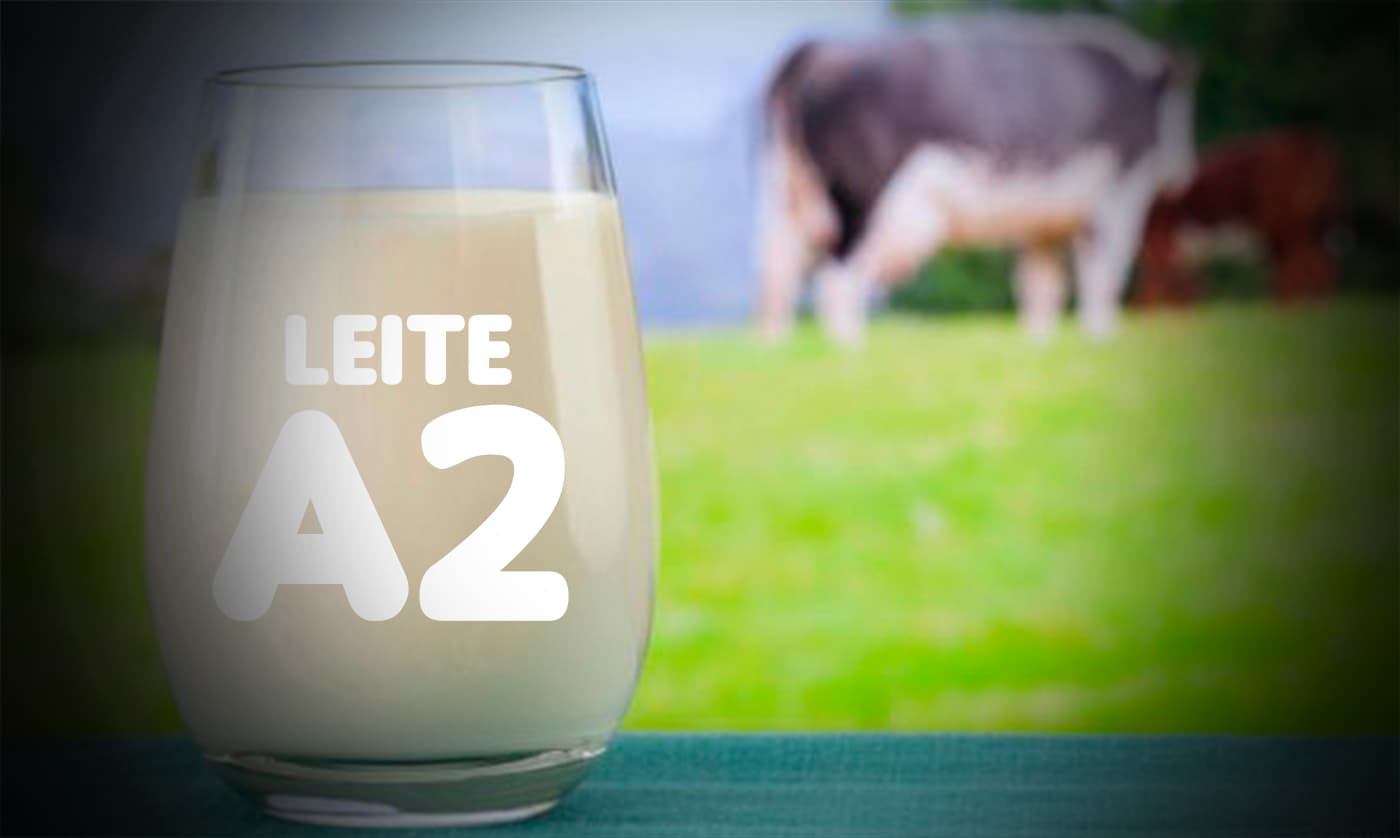 Agora é lei! Benefícios digestivos do leite A2 serão incluídos na embalagem