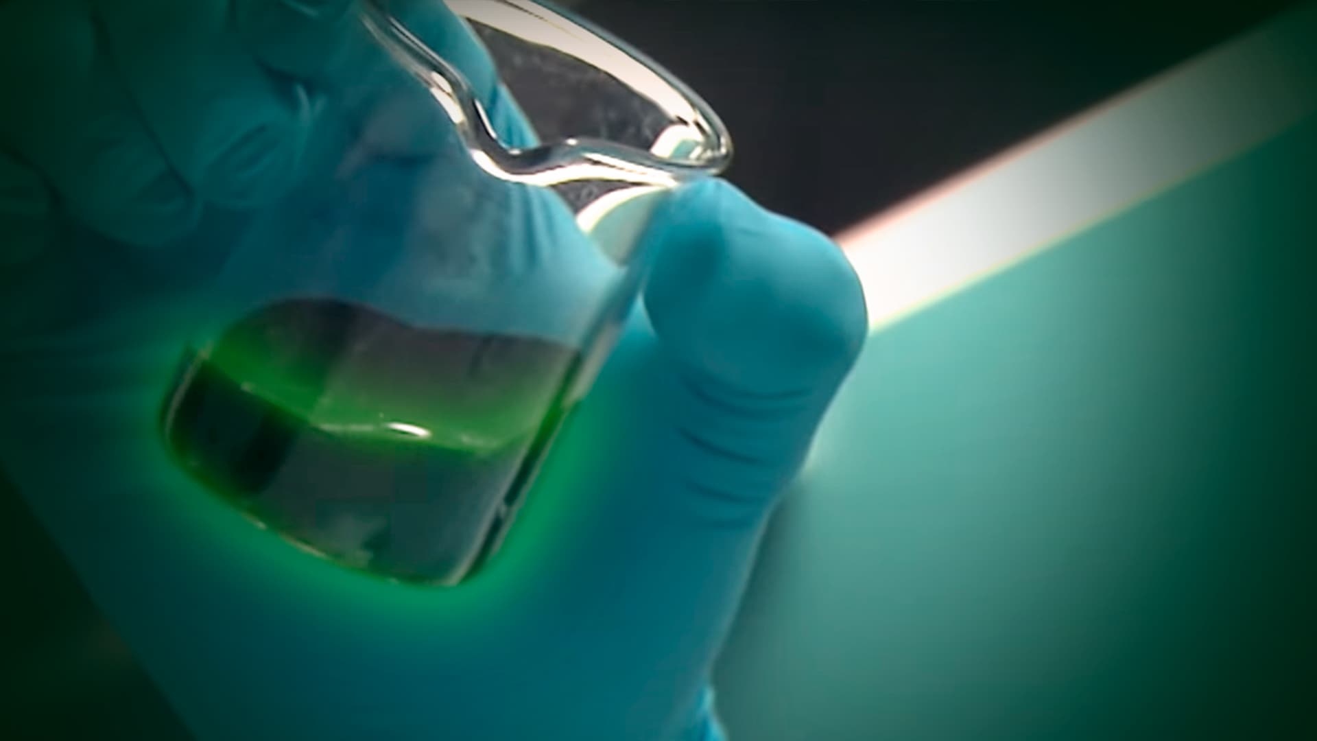 Conheça “Ouro Verde”, Biocombustível do futuro que pretende substituir o petróleo