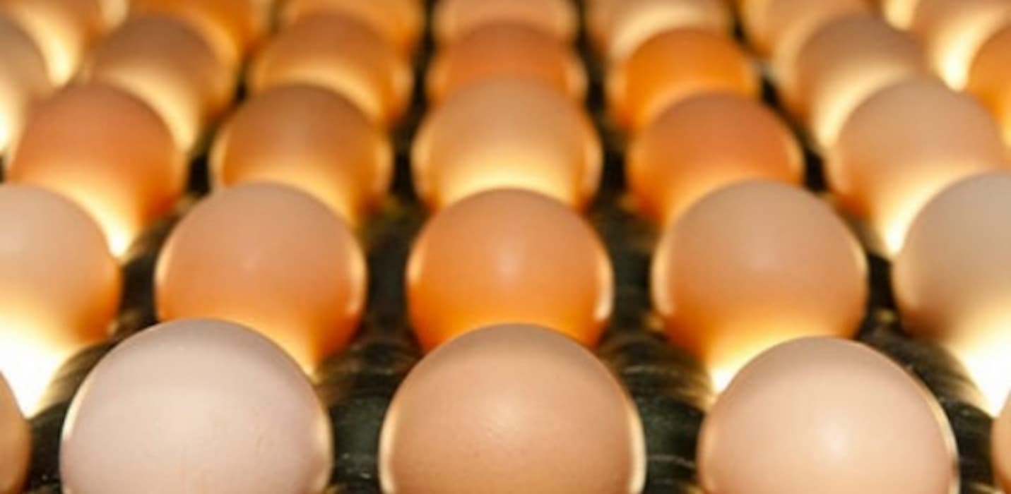 Preço dos ovos encerram março em alta