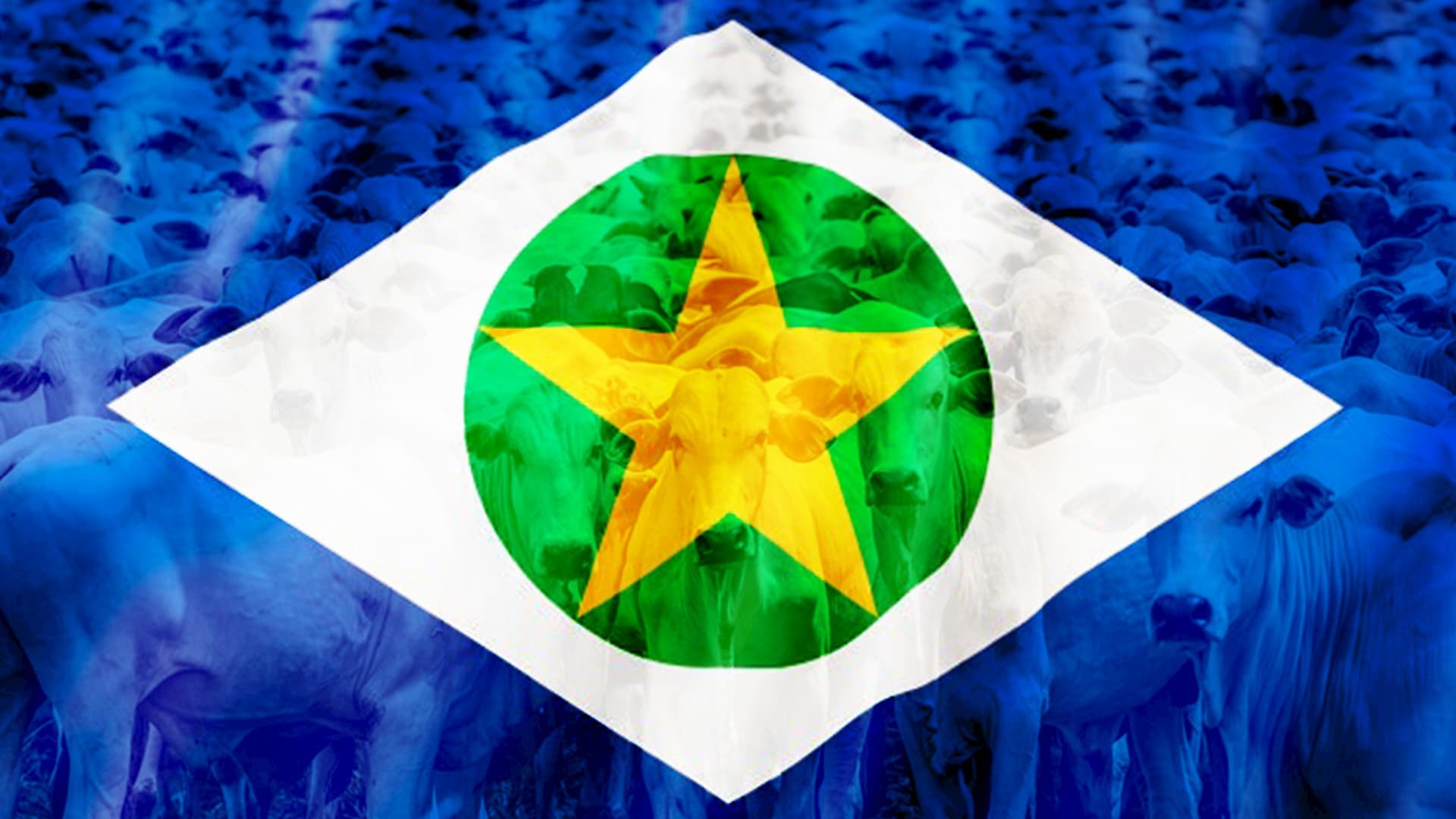 Chuvas podem melhorar pastagens em Mato Grosso