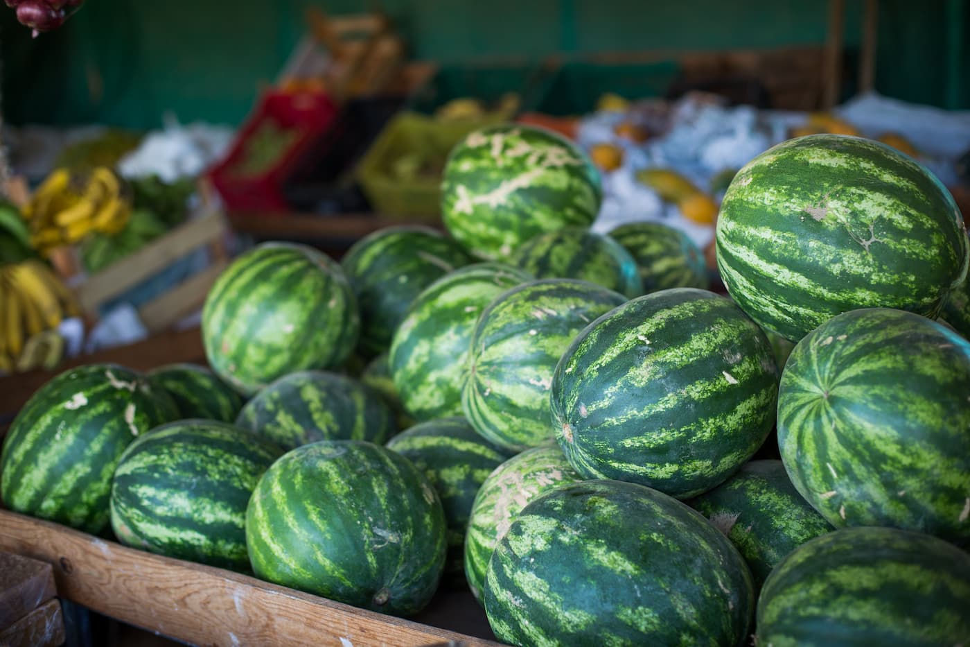 Exportações recordes de frutas em 2021 não se sustentam em 2022