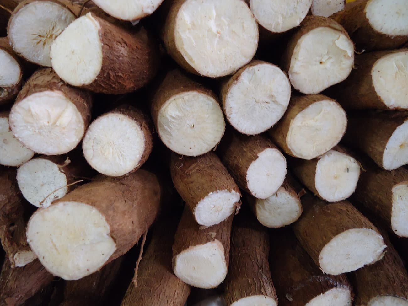 Mercado da mandioca 27 de março 2023