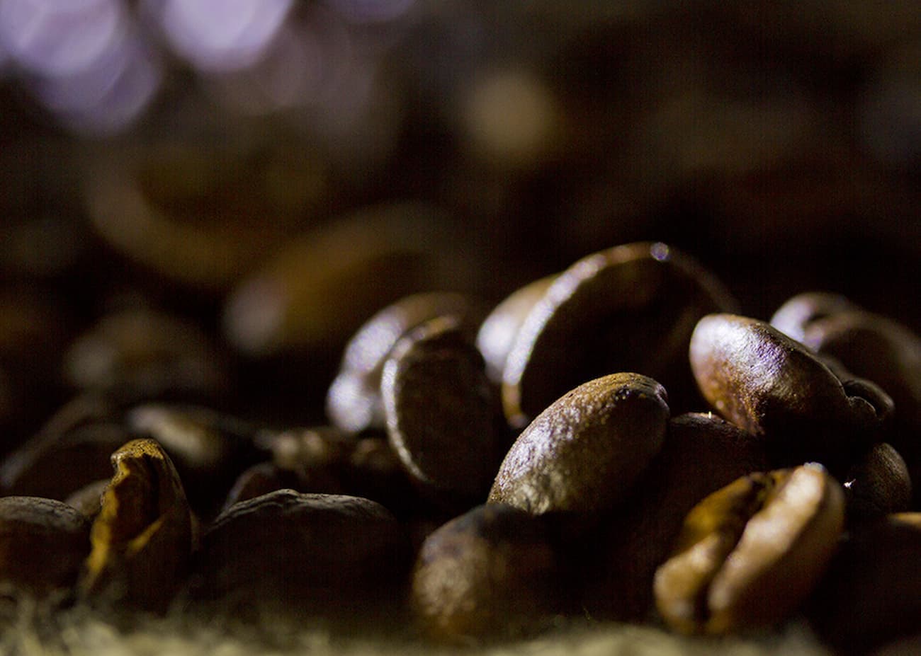 Inscrições abertas: 3° módulo do curso de Produção Integrada