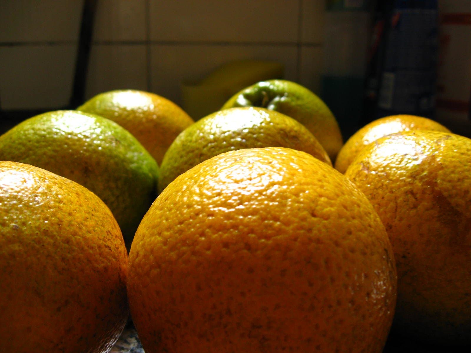 O encerramento do ciclo citrícola e as perspectivas para o setor