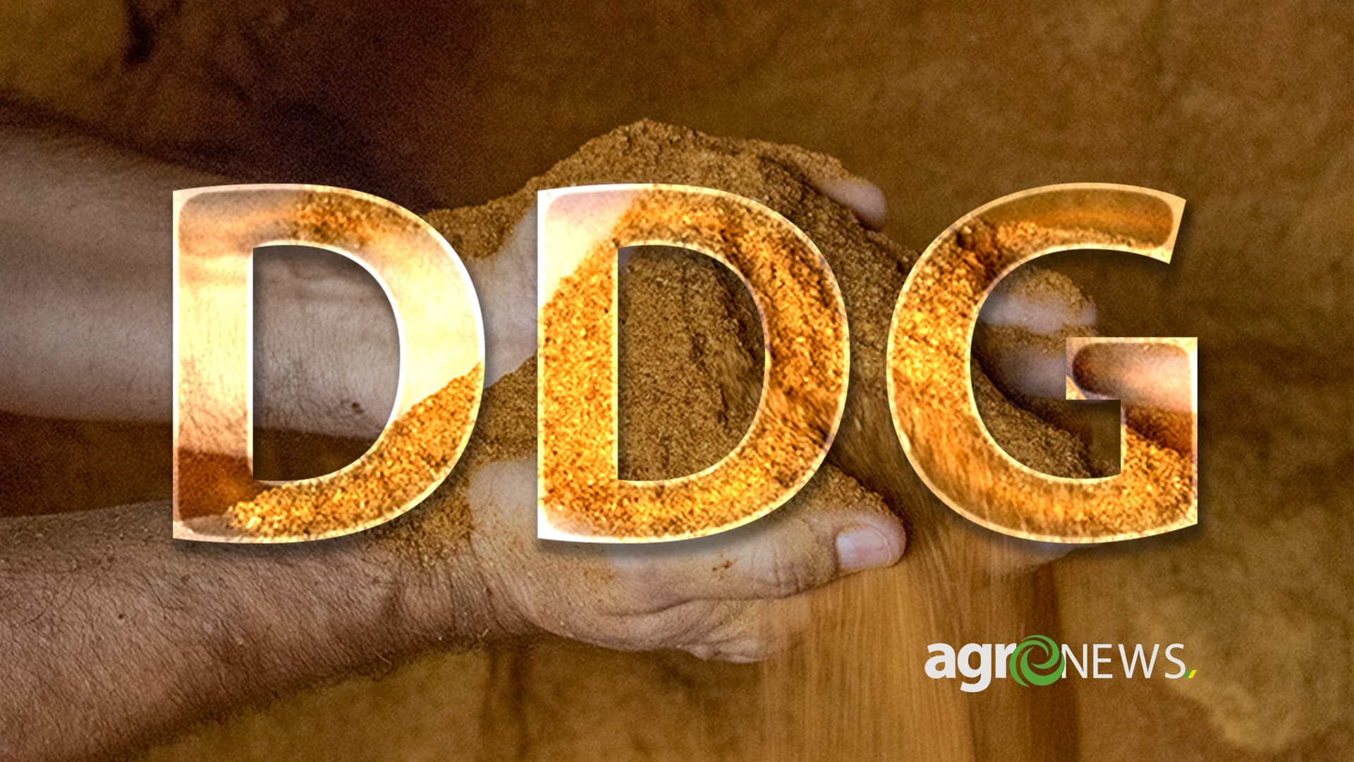 DDGS: Proteína do milho revoluciona nutrição animal no Brasil