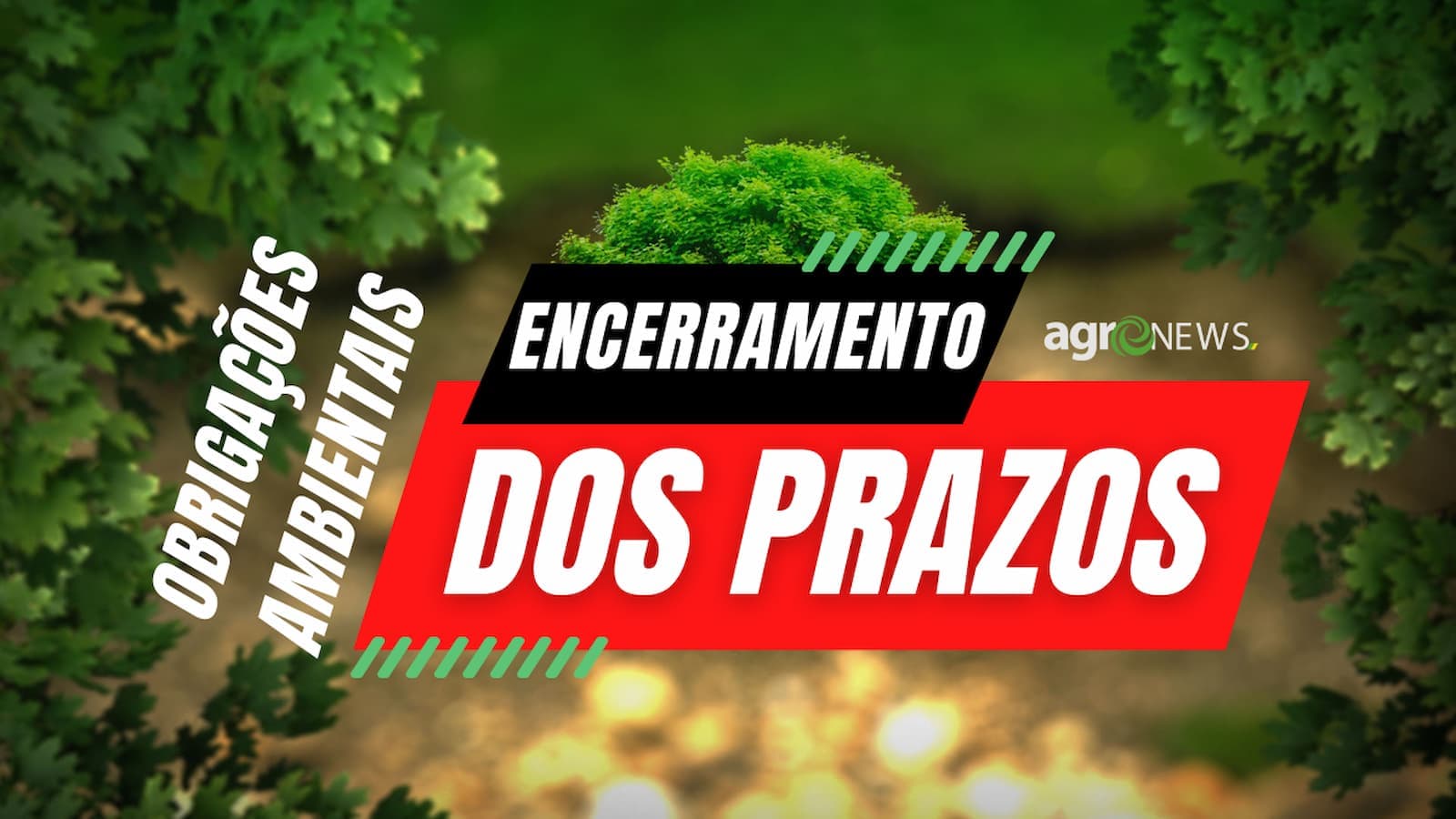 Fique atento! Esta semana encerra os prazos das Obrigações Ambientais