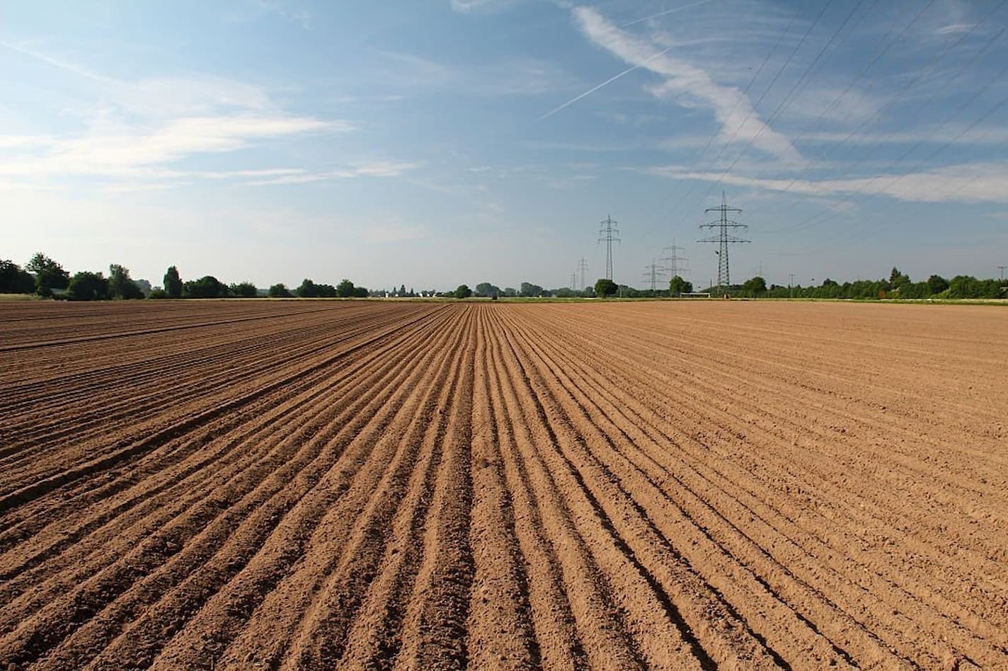 Plantio da soja iniciará dia 25 de setembro em Goiás