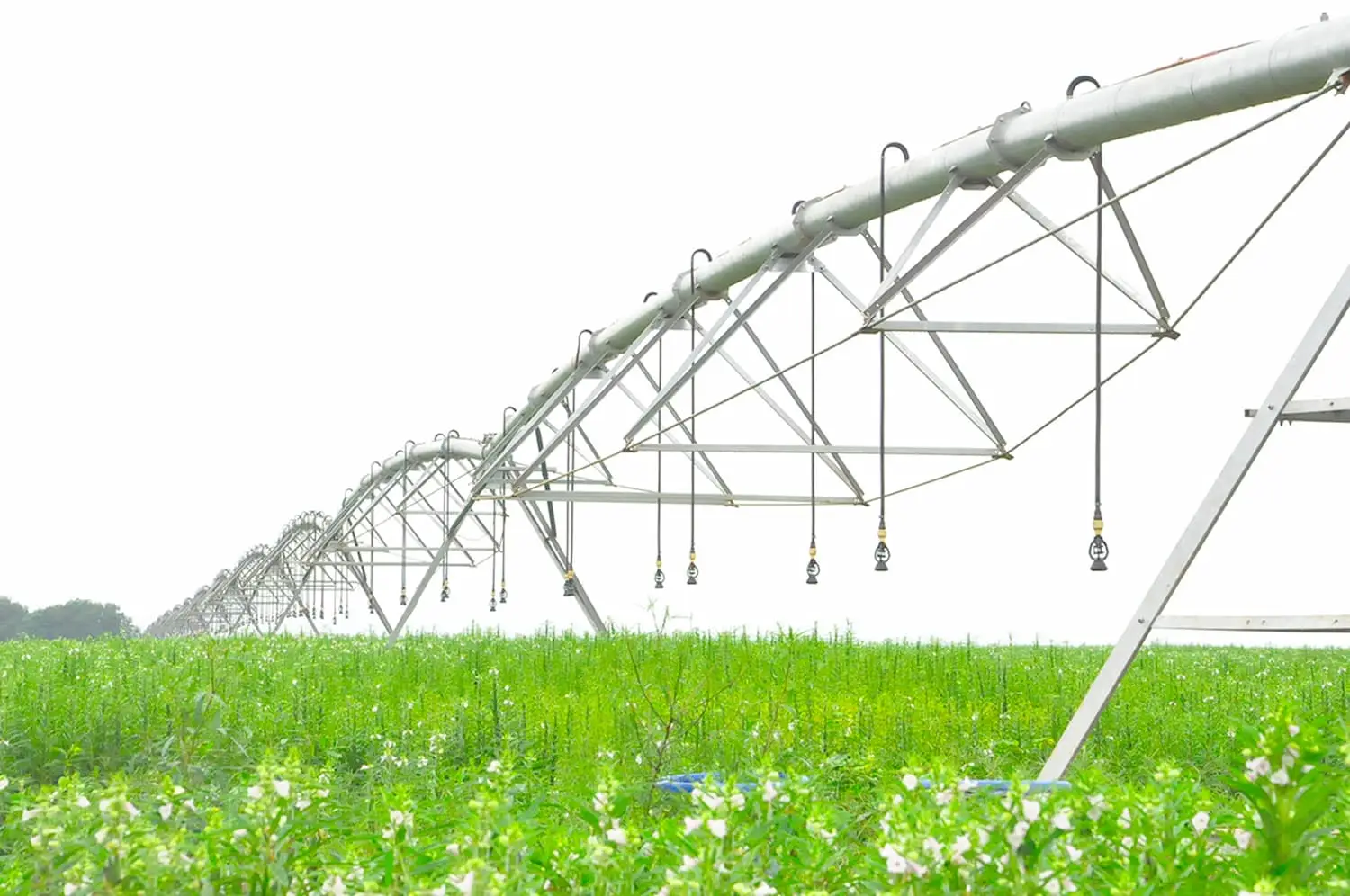 APROFIR-MT e MDR realizam lançamento do Polo Irrigação BR 163 em Sorriso