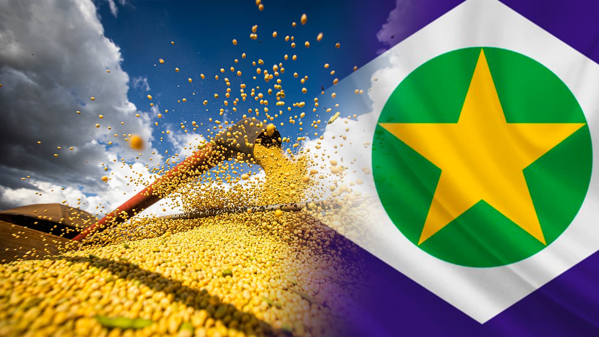 Egito sobe da 22ª para a 2ª posição entre os principais destinos das exportações de Mato Grosso em dois anos