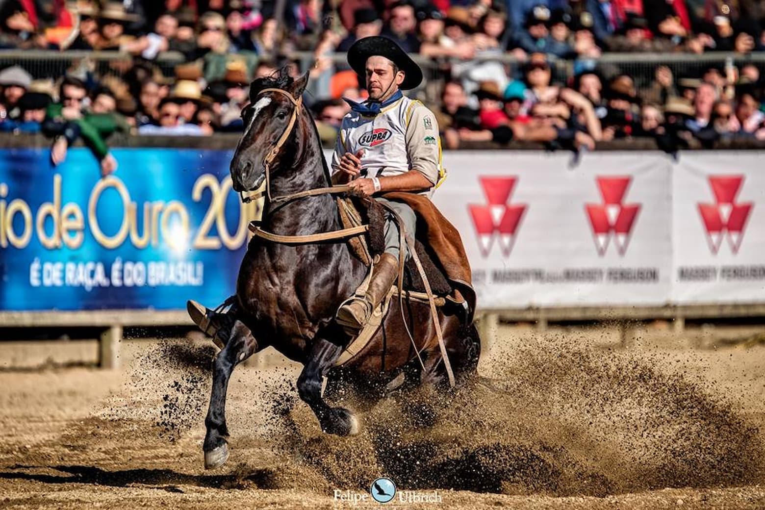 Com retorno de provas equestres é preciso dar atenção especial a assistência técnica aos cavalos atletas
