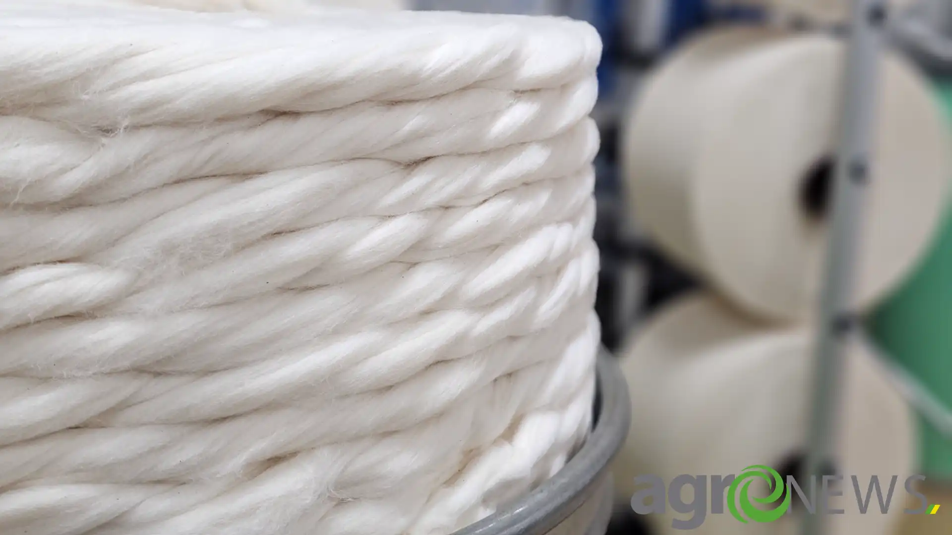 Algodão: consumo mundial reflete em estoques elevados