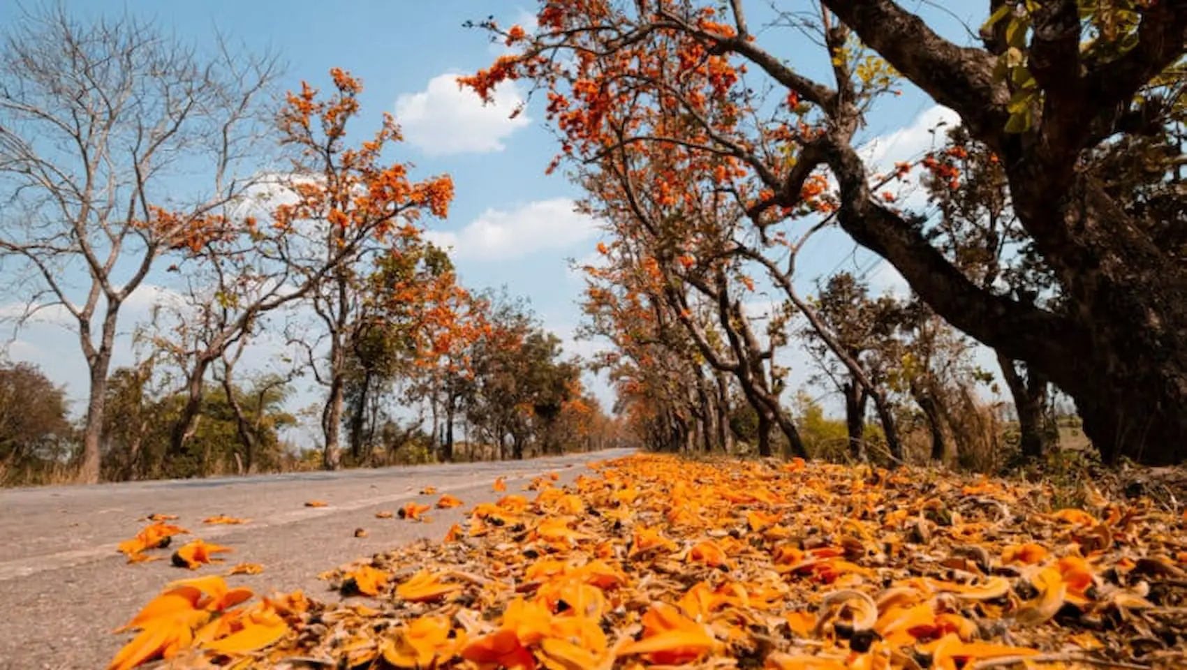 Previsão do tempo: confira a previsão para o outono