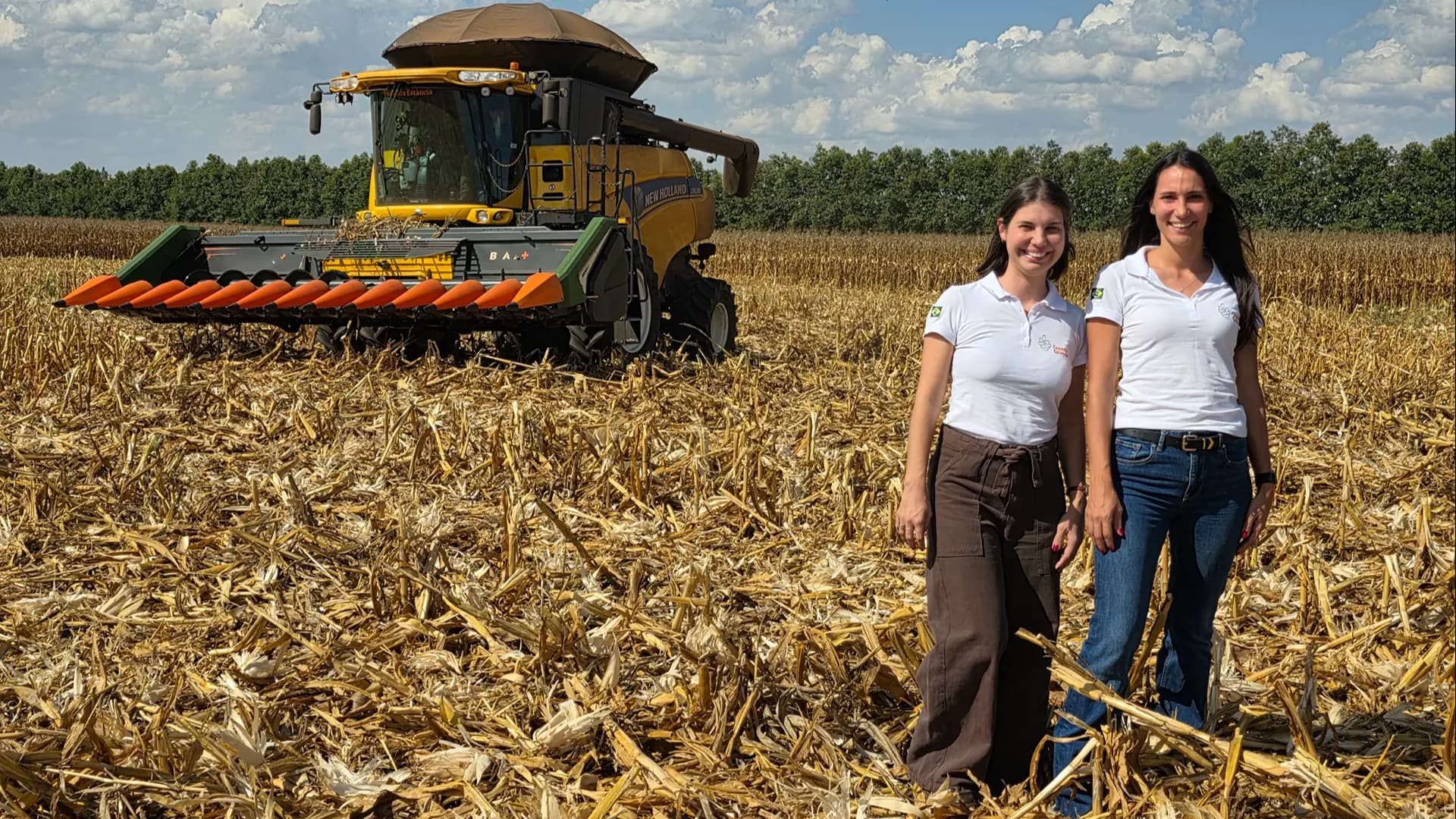 Agricultura regenerativa: Carbono no solo é sinônimo de produtividade comprovada