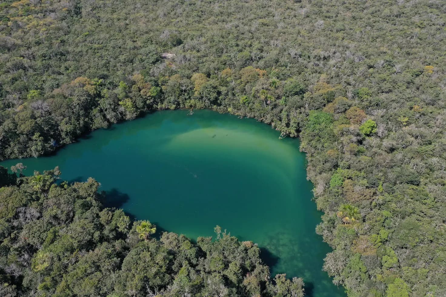 AMAGGI apresenta estratégia de descarbonização durante COP30, confira!