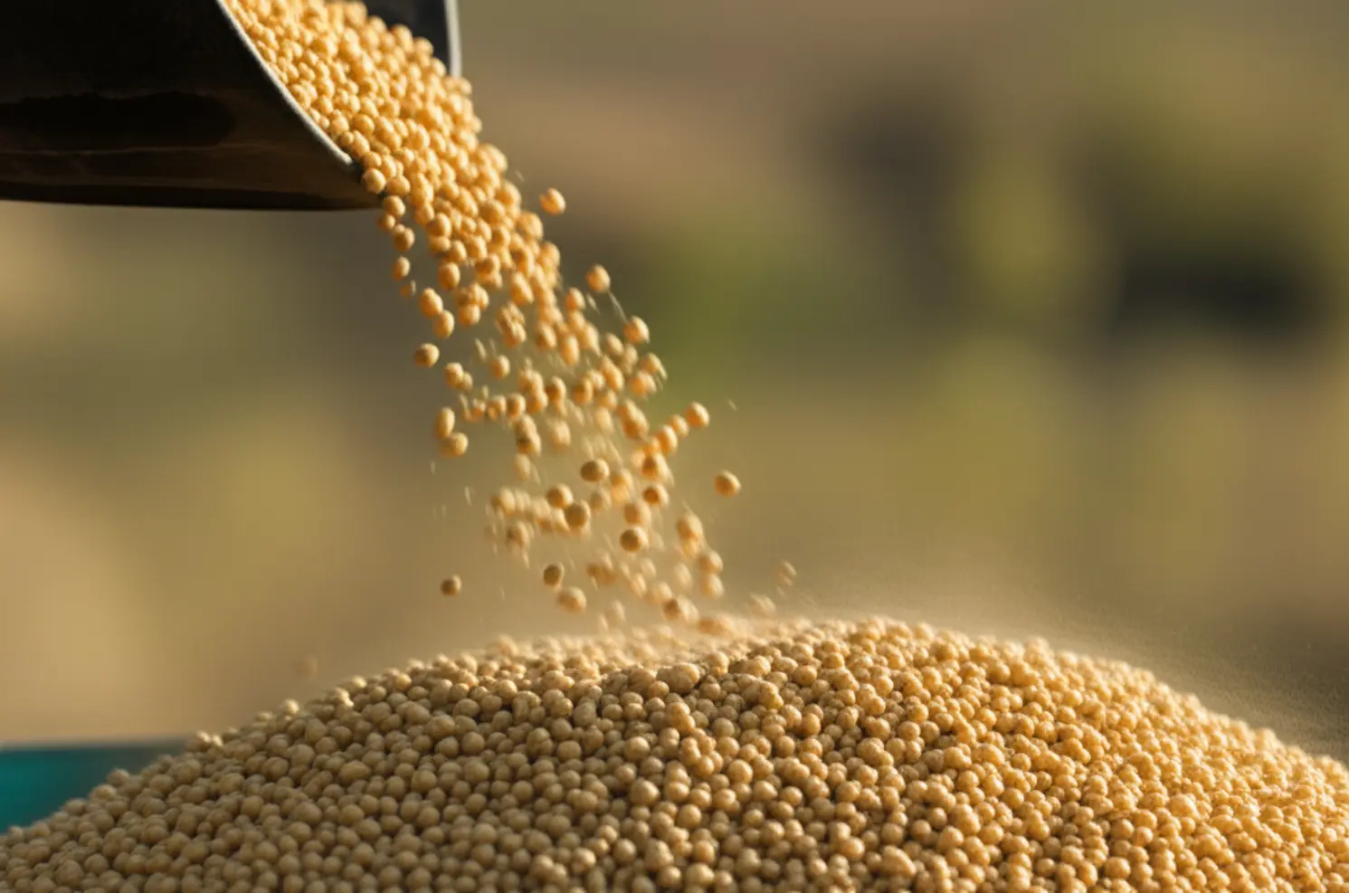 Safra de soja 2025/26 sob o risco do clima irregular