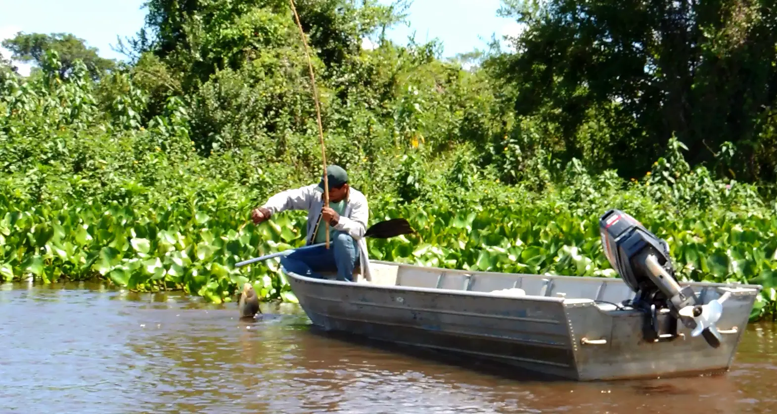 Foto: Pesquisas subsidiam políticas públicas de Pesca no Pantanal