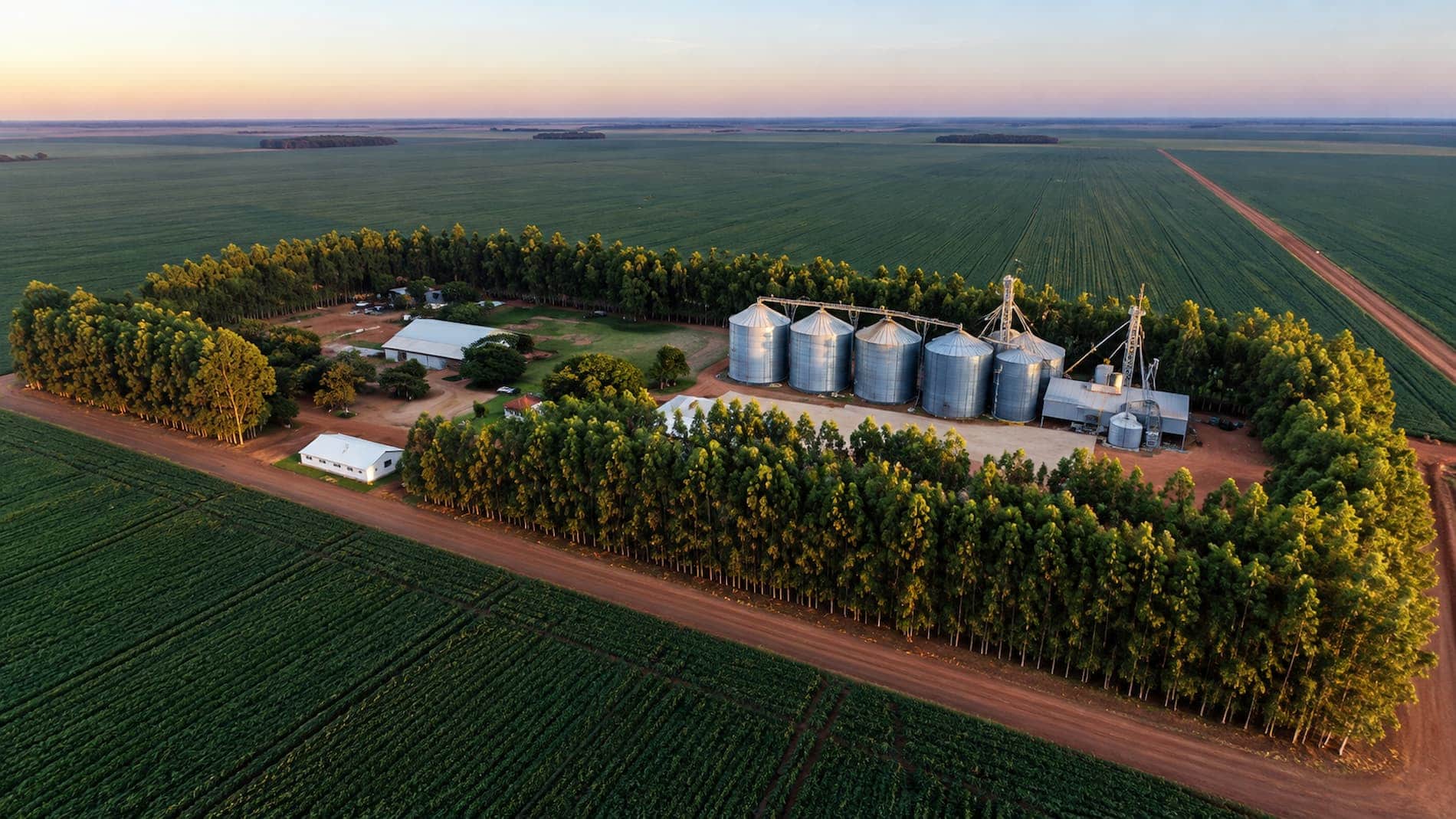 Sapezal ultrapassa Sorriso e vira potência agrícola nº 1 do Brasil, mas armazenagem ainda é desafio