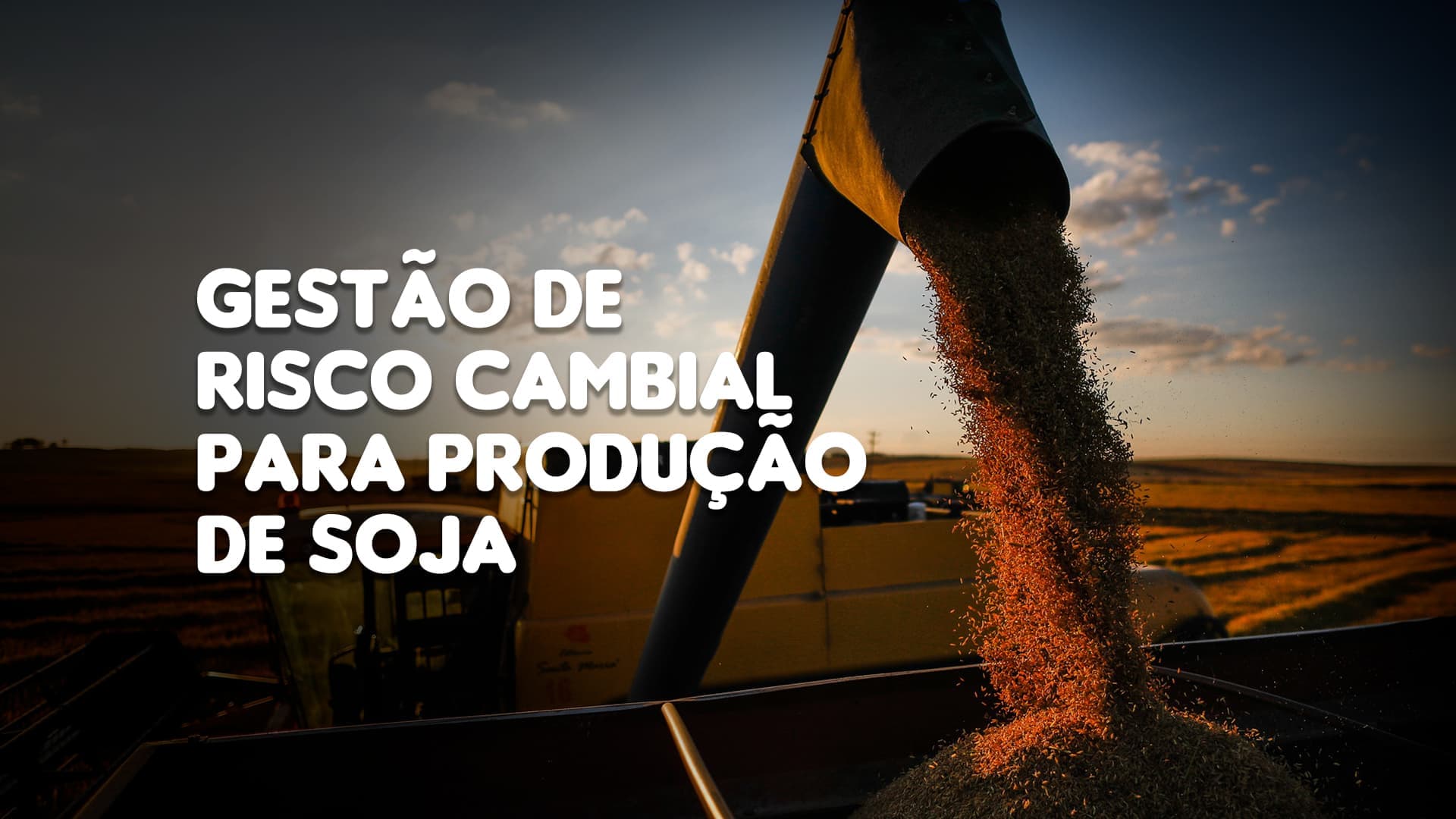 A importância da gestão de risco cambial para os produtores de soja no Brasil