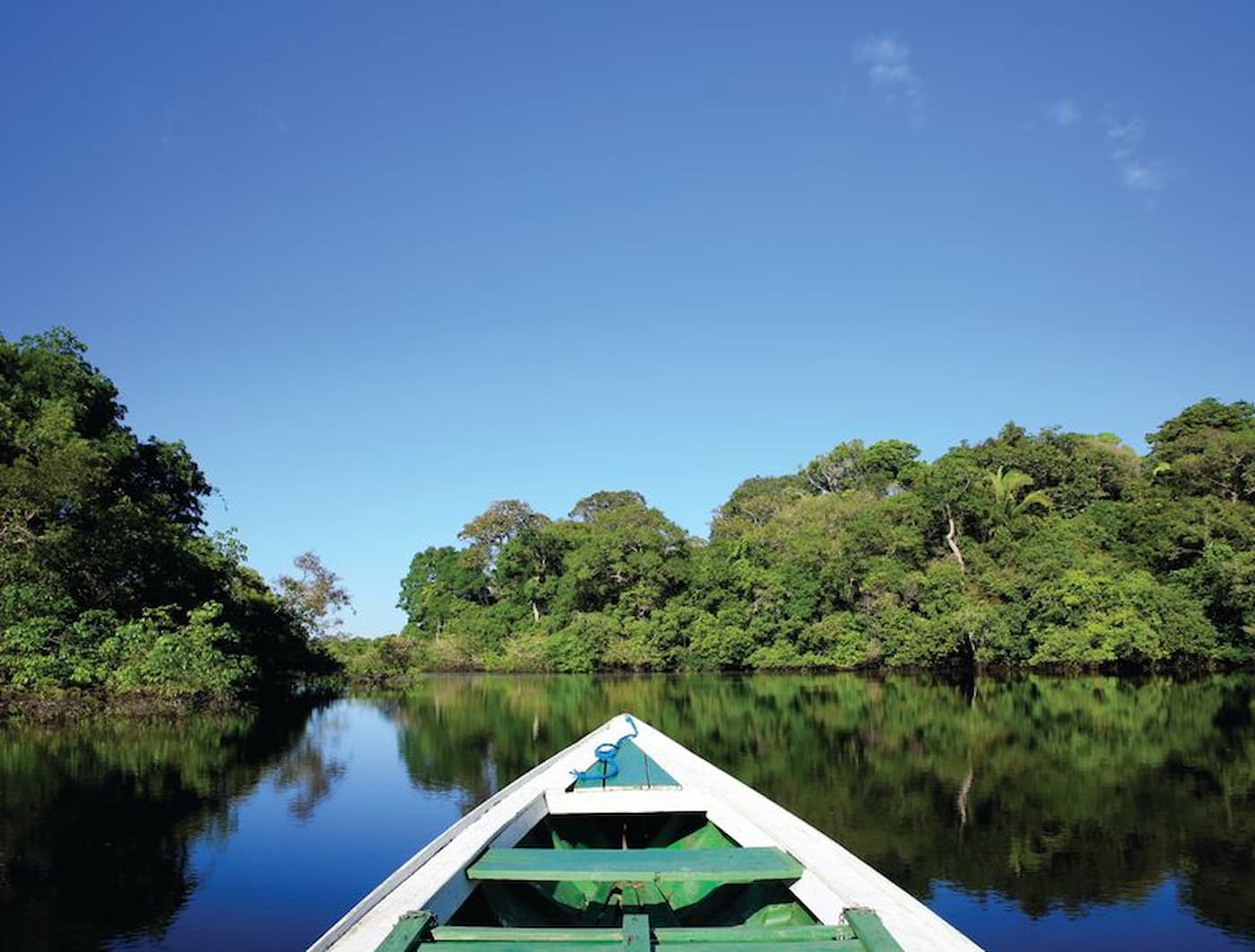 Governo de MT apoia pesquisas de impacto direto na cadeia produtiva da Amazônia Legal