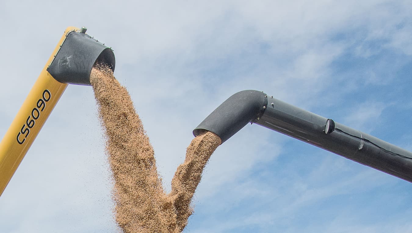 Mercado do arroz 10 de novembro 2022