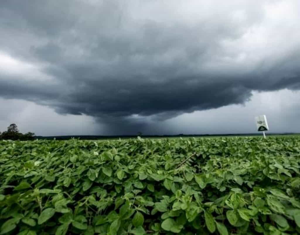 Foto: Alerta no campo: Voltam as chuvas em Goiás e Mato Grosso, mas irregularidade ameaça o plantio
