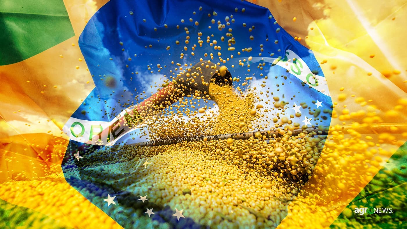 Agronegócio brasileiro surpreende e começa 2022 com superávit de US$ 7,7 bilhões
