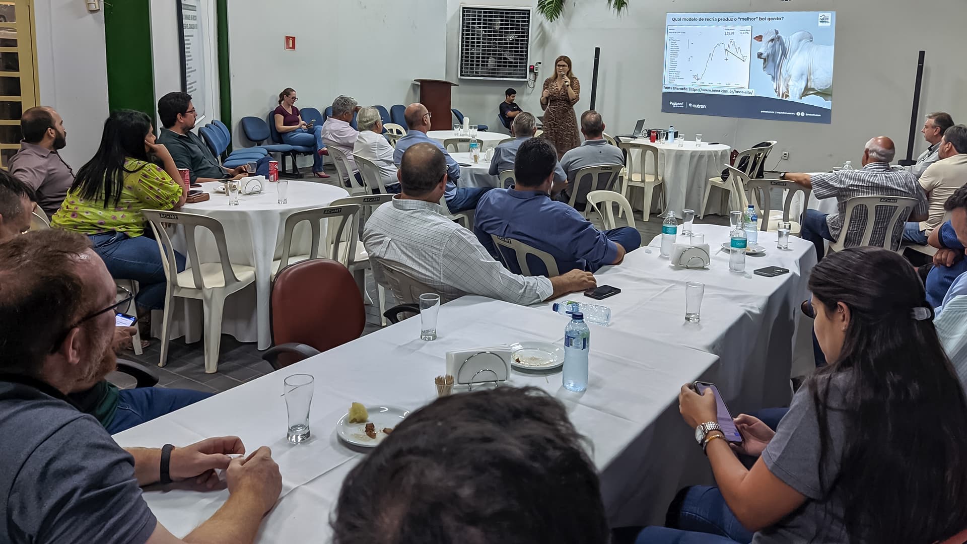 Nelore-MT divulga resultados da maior Prova de Ganho de Peso do Brasil