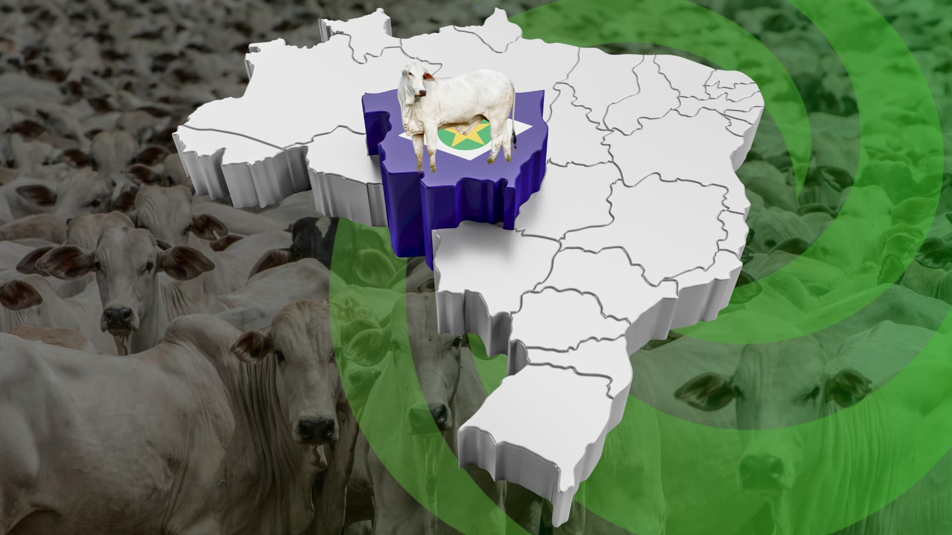 CAR Digital: Governo de MT lança novo sistema, confira!