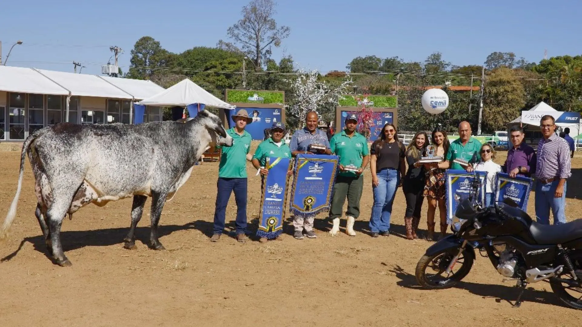 Vacas Girolando estabelecem novo recorde de produção na Megaleite 2024