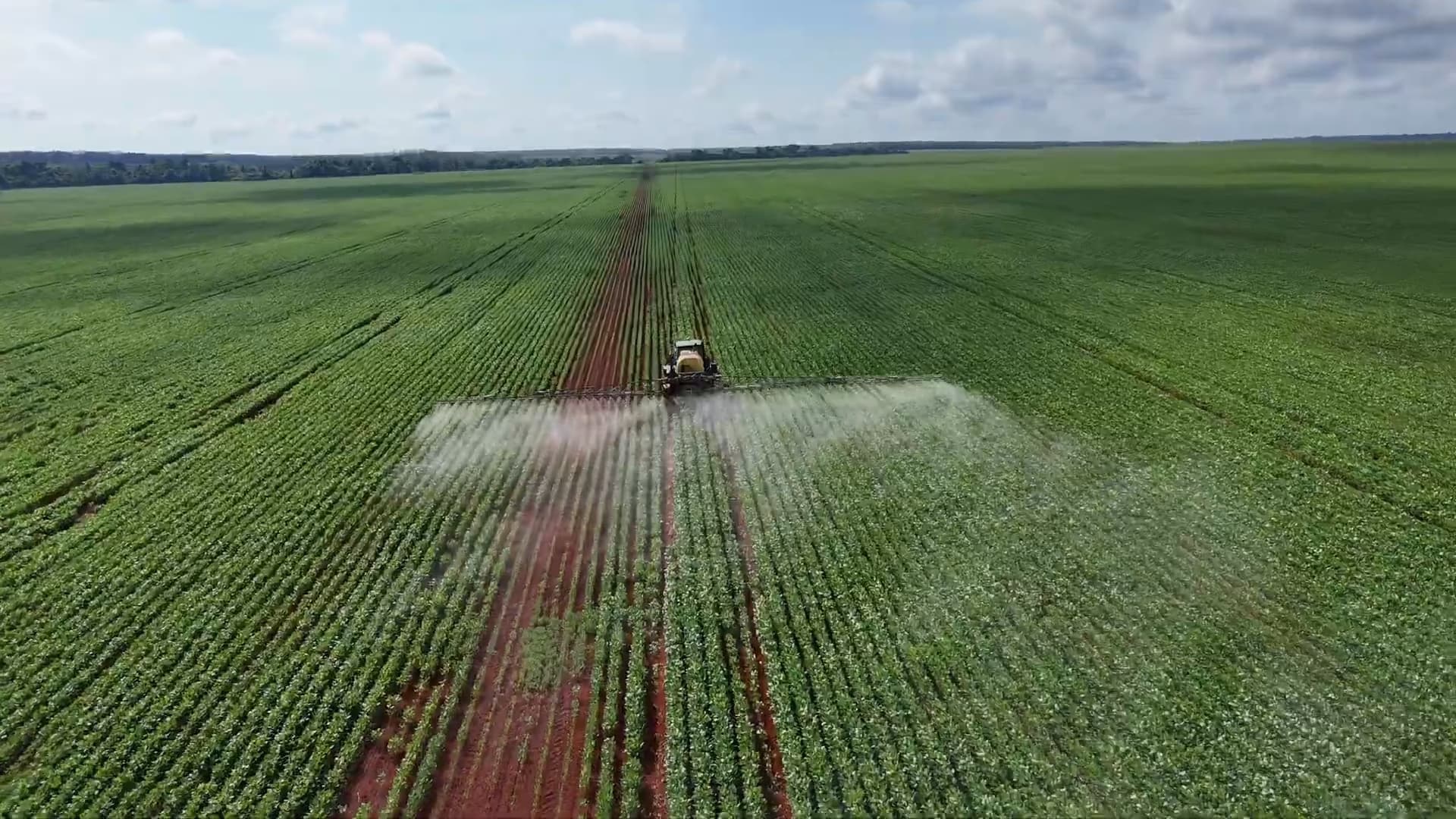 Mercado da soja segue pressionada