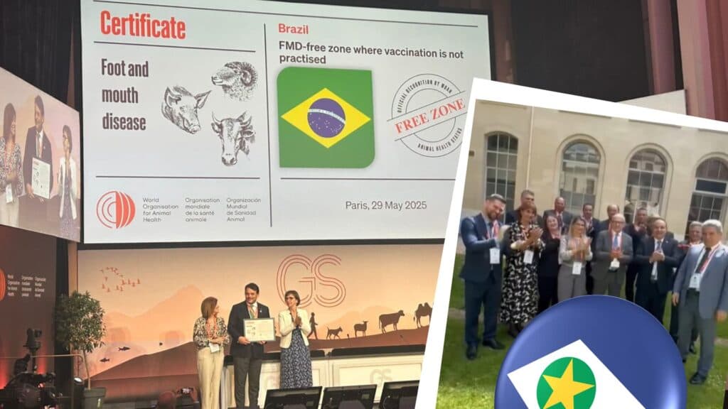 Brasil recebe status internacional de Livre de Febre Aftosa sem Vacinação
