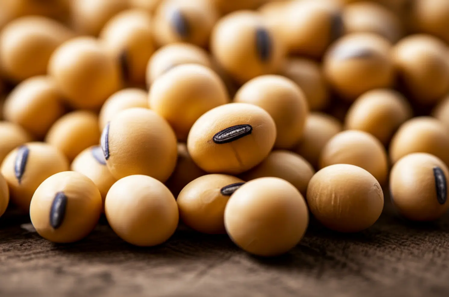 Mercado da Soja exige decisão técnica para proteger a margem