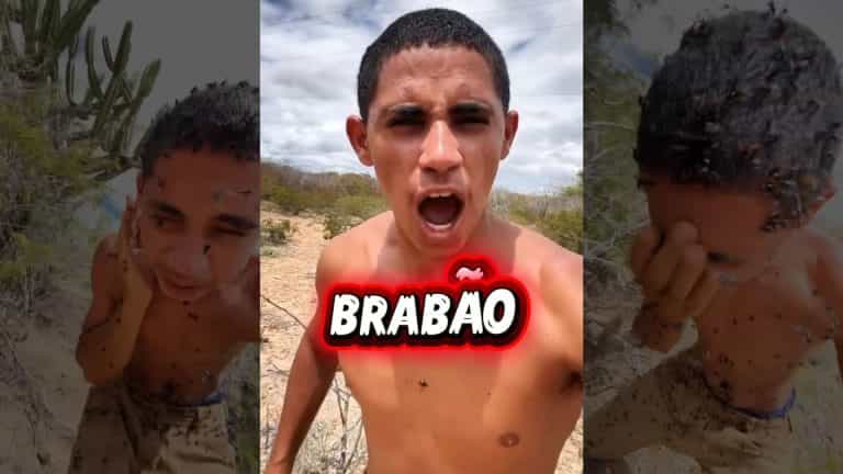 BRABÃO DO SERTÃO - DESAFIO DA ABELHA
