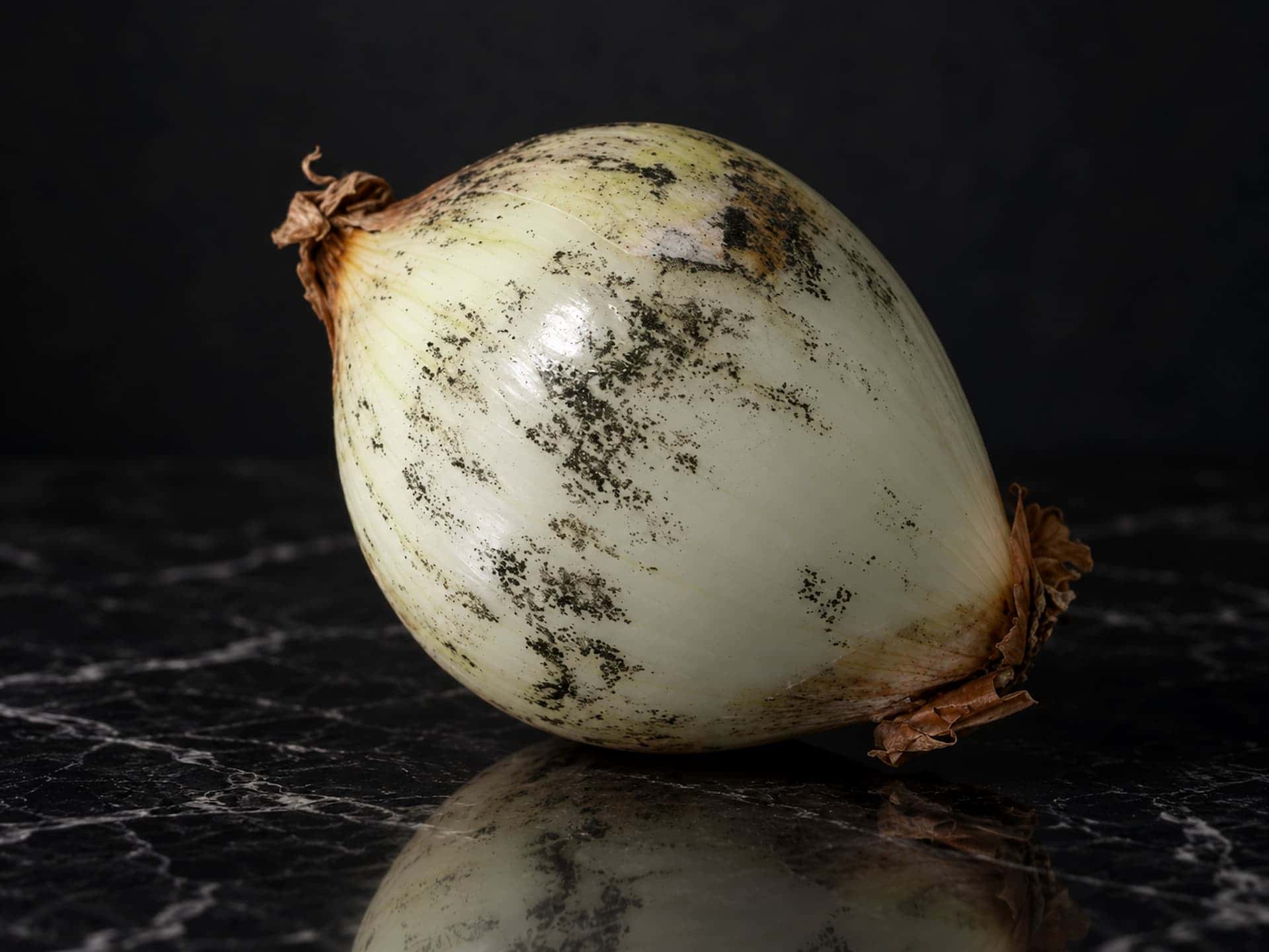 Pó preto na cebola não é sujeira, mas sim um fungo perigoso; O que a ciência tem a dizer