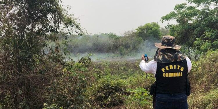 Inicia investigação para apurar origem das queimadas no Pantanal