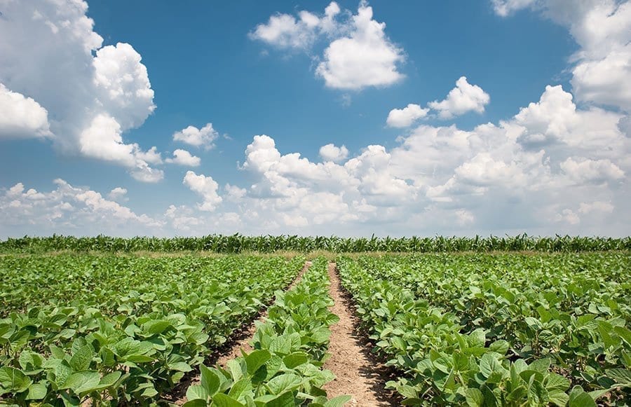 Agroclima: Clima com massa de ar frio e seco