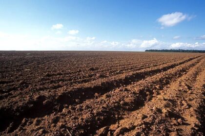 Vazio sanitário termina, mas plantio da soja deve começar somente após chover em MT