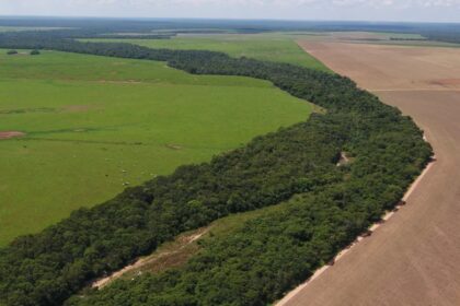 Bom Futuro emprega tecnologia para cuidar de área ambiental de 98 mil hectares