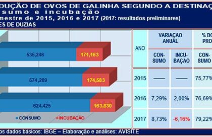 Ovos: IBGE aponta queda na produção de ovos incubáveis