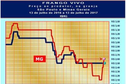 Frango: Vivo mineiro obtém terceiro reajuste na semana