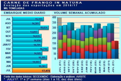 Embarques de carne de frango têm boa reação no mês