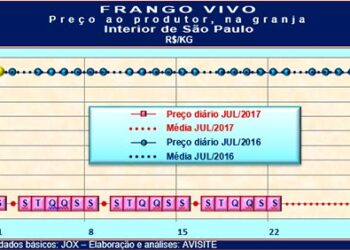 Frango Vivo: Desempenho na terceira semana de julho