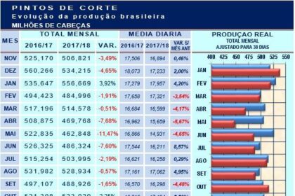 Pintos de corte: volume maior, mas sem atingir recorde em 2018